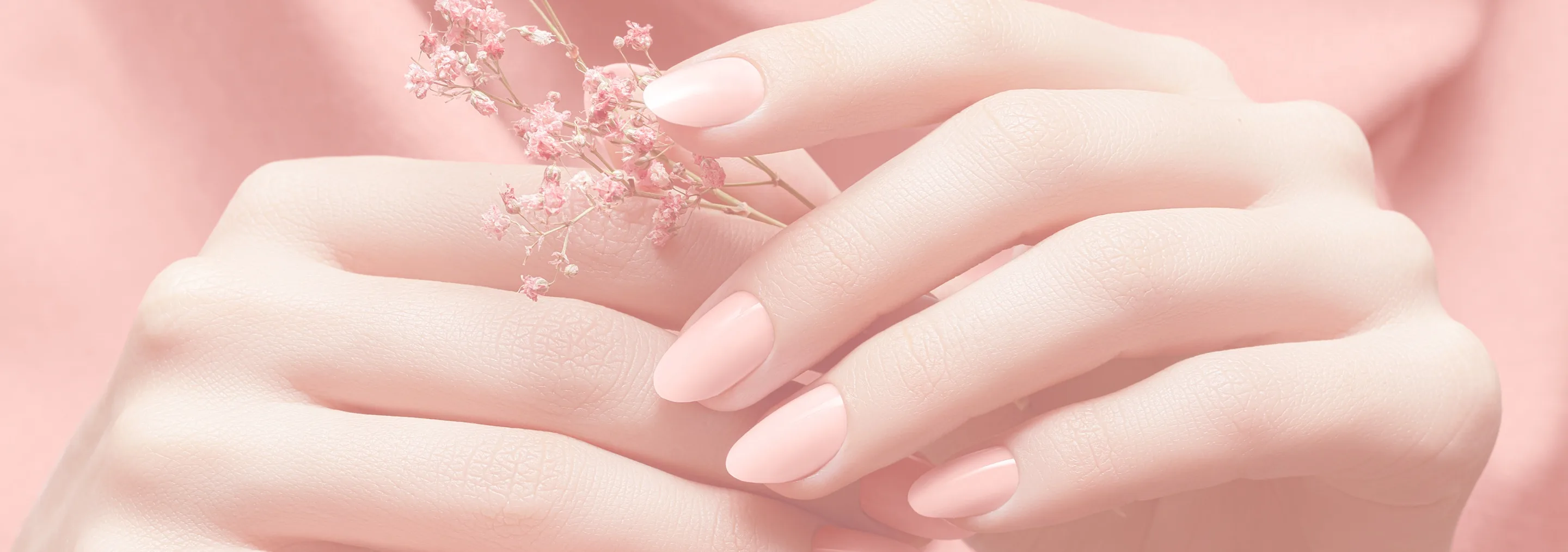 Wide atmospheric shot — two cradled hands with soft peach-pink nails, baby's-breath sprigs, pink satin
